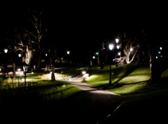 Dark Park