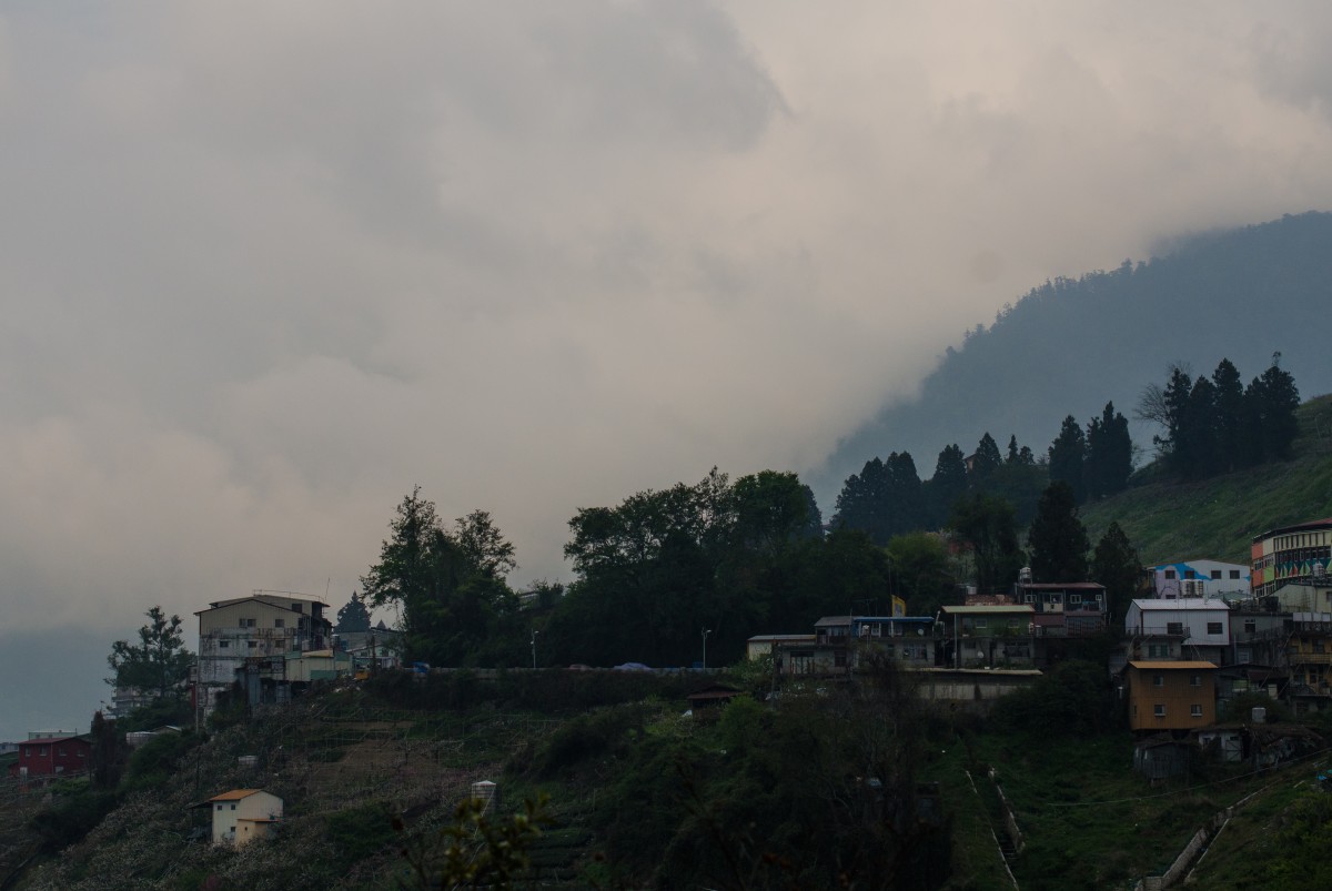 Lishan // 梨山