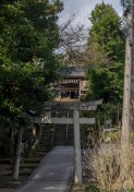 Shiroyamainari Shrine Entrance // 城山稲荷神社