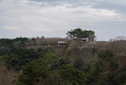Oka Castle Ruins (Oita)