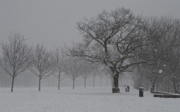 Frankfurt - Winter