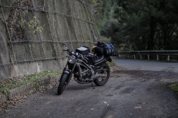 Road 492 in Shikoku