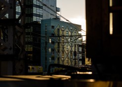 Mitaka