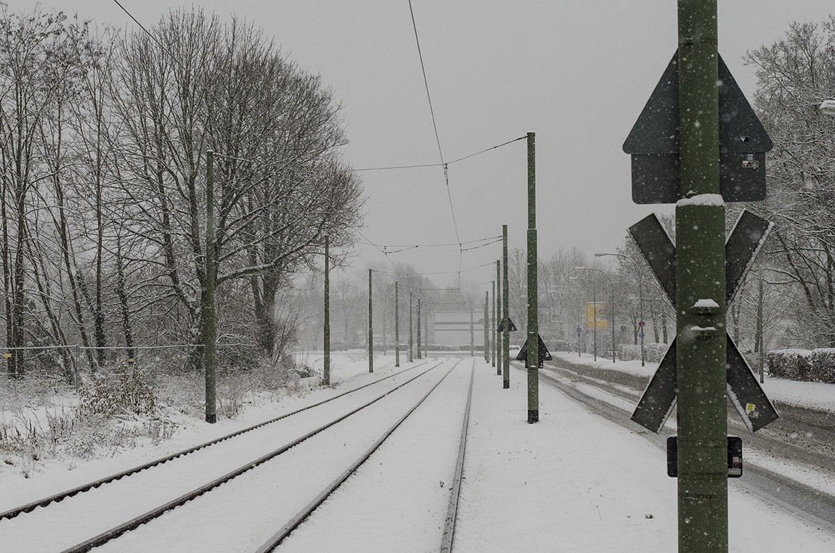 Frankfurt - Winter