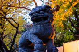 Yasukuni Shrine